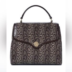 NWOT Brahmin Rene Espresso Caswell